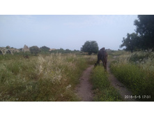 IMG 20180505 173152.jpg