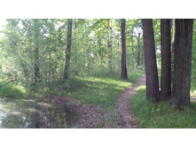 IMG 20180524 172415.jpg