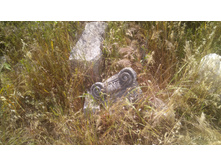 IMG 20180507 152434.jpg