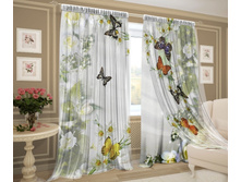 ������������ ����.jpg