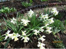 ������� ������ �����.JPG