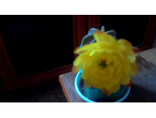 �� �����(7 ���)