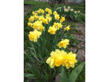 �� �������� ����� ������� � ��� �������.JPG