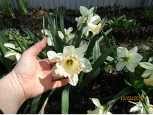 ������� ������ �����.JPG