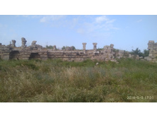 IMG 20180505 173157.jpg