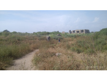 IMG 20180507 153152.jpg