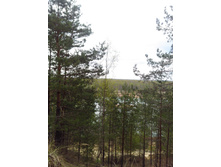 IMG 20180506 135713.jpg