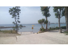 IMG 20180505 154839.jpg