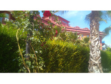 IMG 20180517 150152.jpg