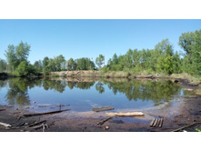 IMG 20180521 133729.jpg