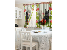 ����� � ��������.jpg