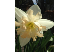 ��������.JPG ������� ���� ��������