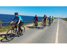 P 20180512 112700-01.jpeg