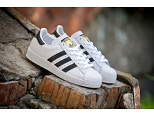 �����_3013	��������� Adidas_38 (24 ��)_1740