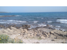 IMG 20180505 160153.jpg