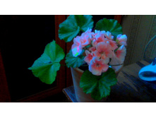 ���������� Something Special