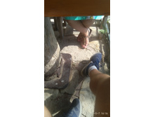 IMG 20180507 161614.jpg