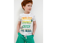 20120110106   Remark   ��������.jpg