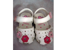 pronpundel _ �/� ��������, �.19 _ 300 ���.