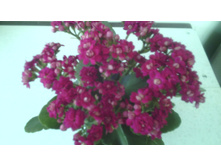 IMG 20141224 190513.jpg