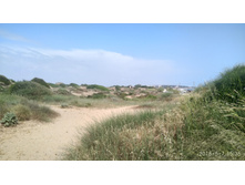 IMG 20180507 153531 HDR.jpg