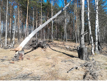 IMG 20180429 161607.jpg