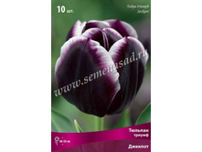 ������� ������ �������