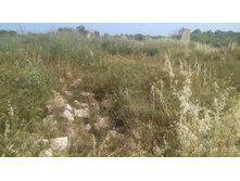 IMG 20180507 152047.jpg