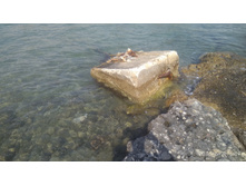 IMG 20180507 160920.jpg