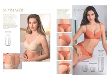 Cat-florange-2018-01 17.jpg