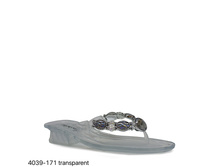 4039-171 transparent.jpg