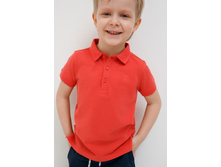 20120110103   Zweig   ����������(������).jpg