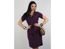 ������ ���� ���� 650 �