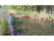 IMG 20180521 132041.jpg