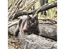 ��? ���� � ���!