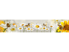 475610334 w284 h200 artskinali 33.png