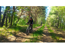 P 20180526 140608-01.jpeg