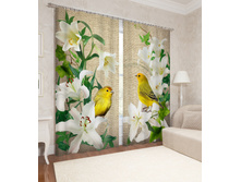 08571 "������ ������ � ������"