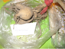 �������� ������