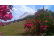 IMG 20180520 095126.jpg