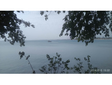 IMG 20180505 153039.jpg