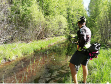 2018.05.26 14-58-56 (IMG 20180526 145856) GlebKa.jpg