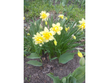 ������� �������� ������ - 20 � - ��������