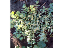 IMG 20180526 184035.jpg