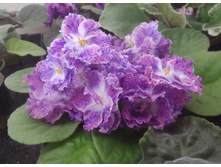 ��-���������� ������.JPG