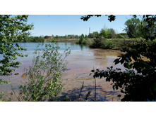 IMG 20180521 130133.jpg