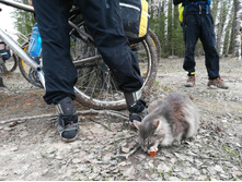 IMG 20180501 123854.jpg