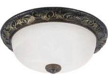 A7161PL-2AB 500�.jpg