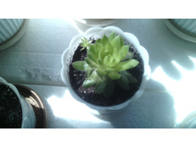 IMG 20141224 191430.jpg