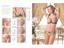 Cat-florange-2018-01 15.jpg